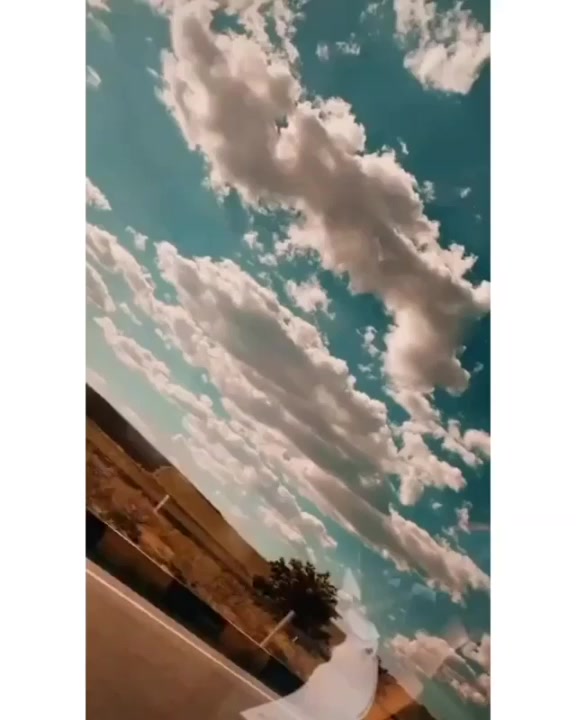 @asya_pirdali