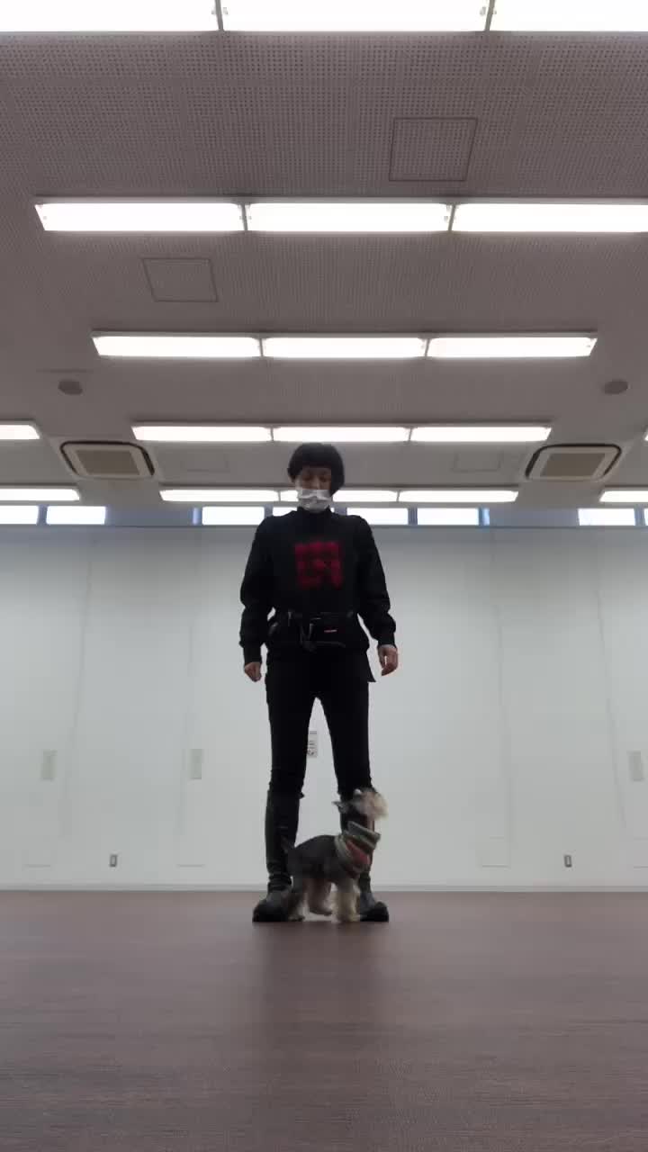@jinkiha➿くろもしょ