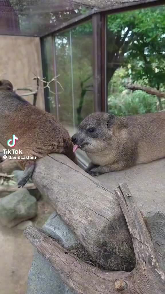 @Jess Fox