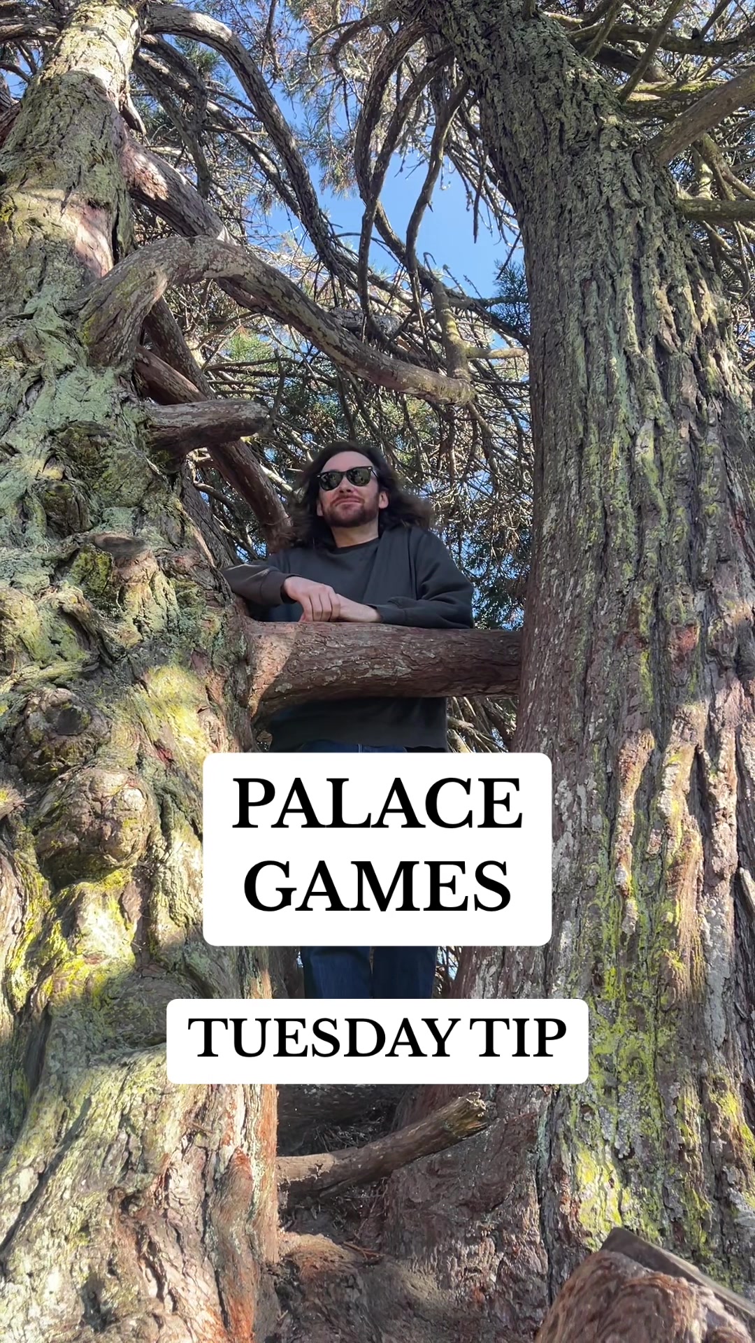 @Palace Games