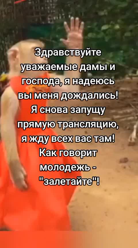 @что тебе нужно сдесь, леди?
