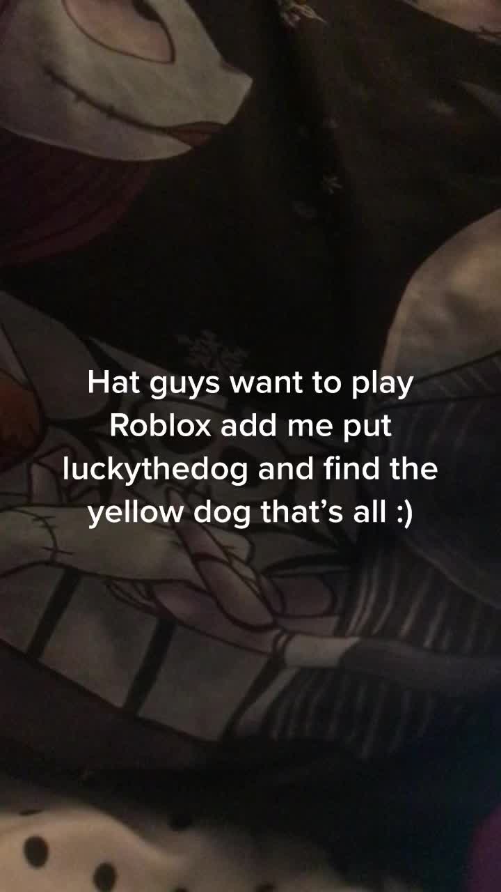 @Lucky dog and friends