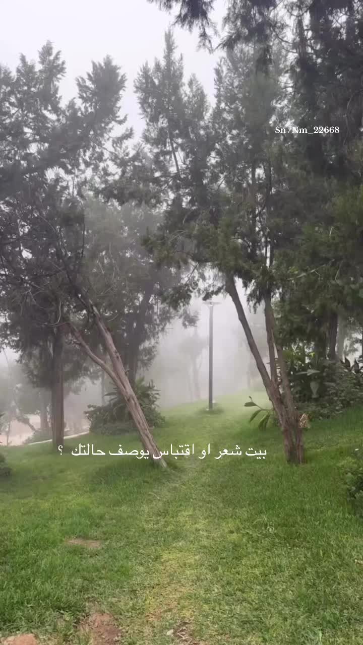 @نوالــه ام نور🦋