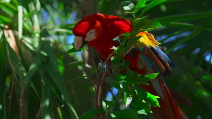 @2 1