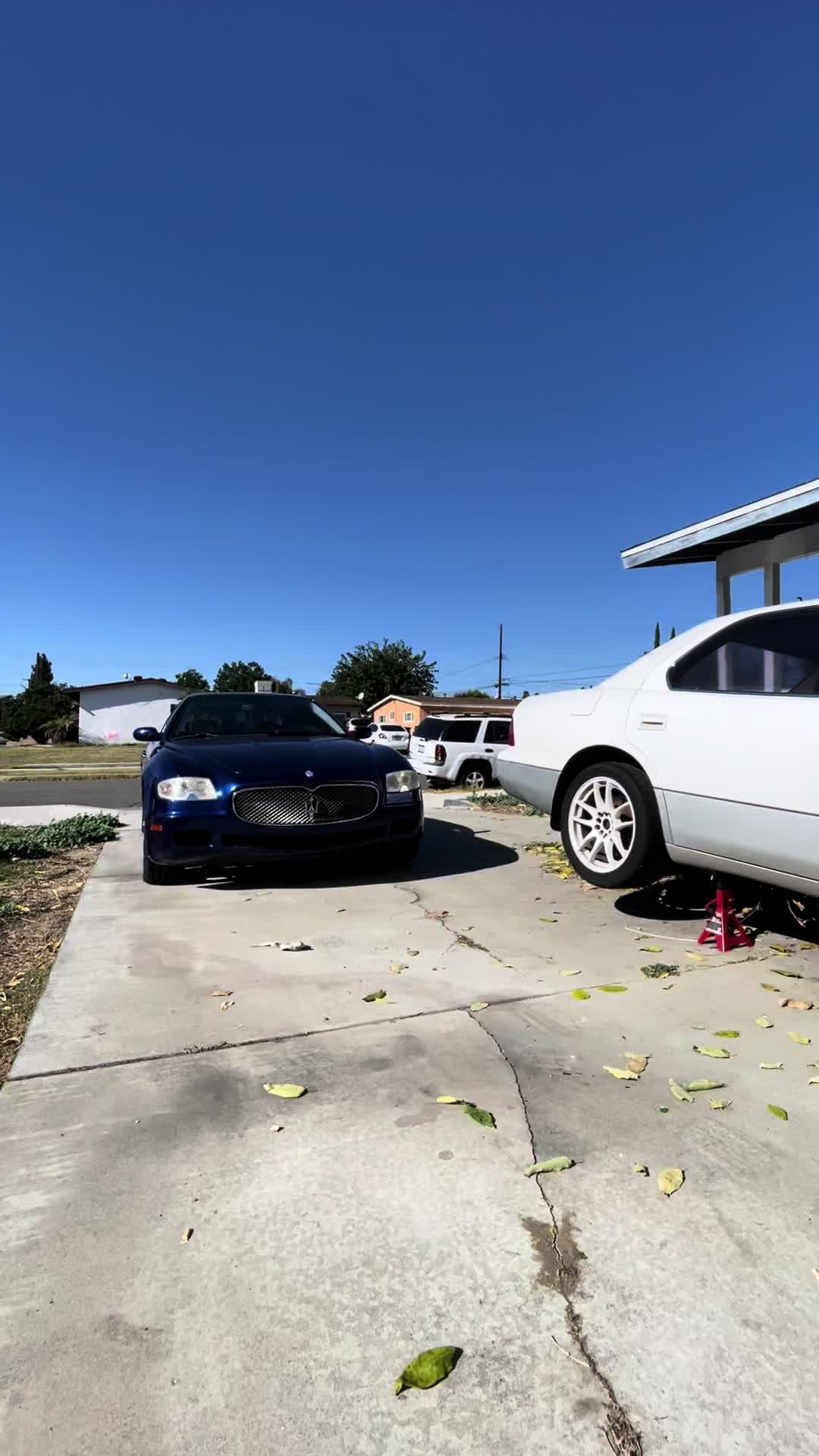 @e39_chato