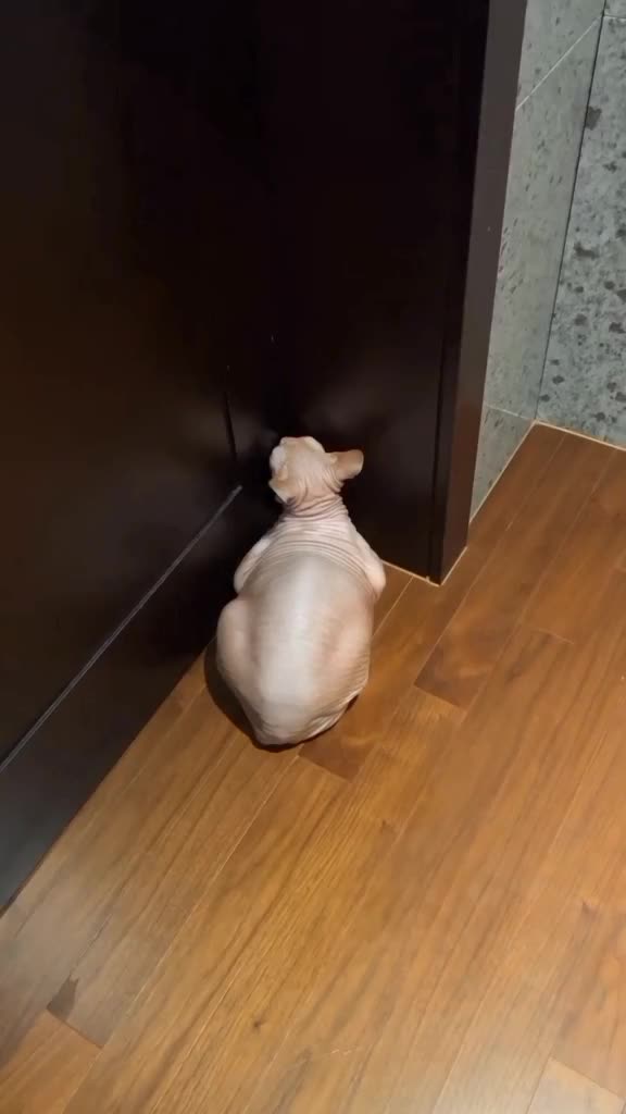 @ꫝꫀꪗᦔꪖꪗ 🧡