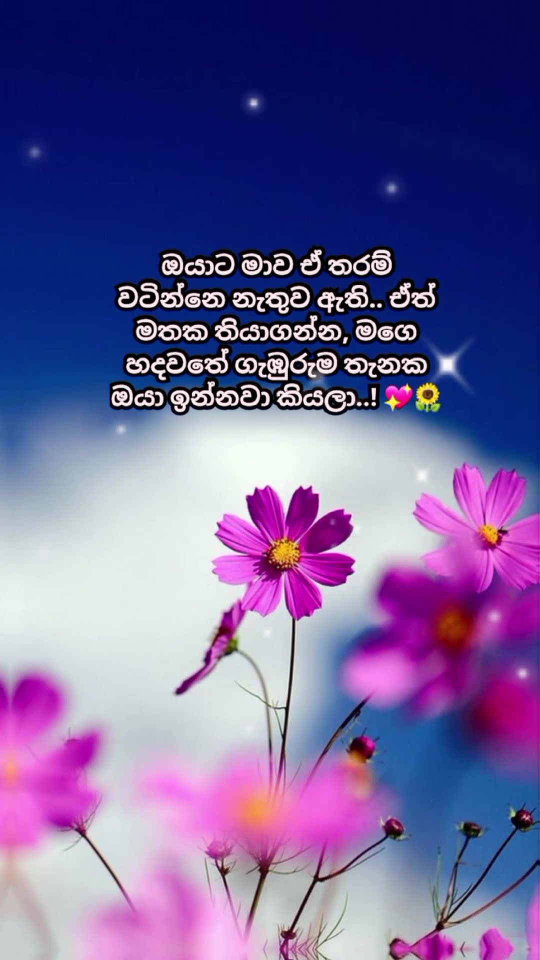 @Mashi
