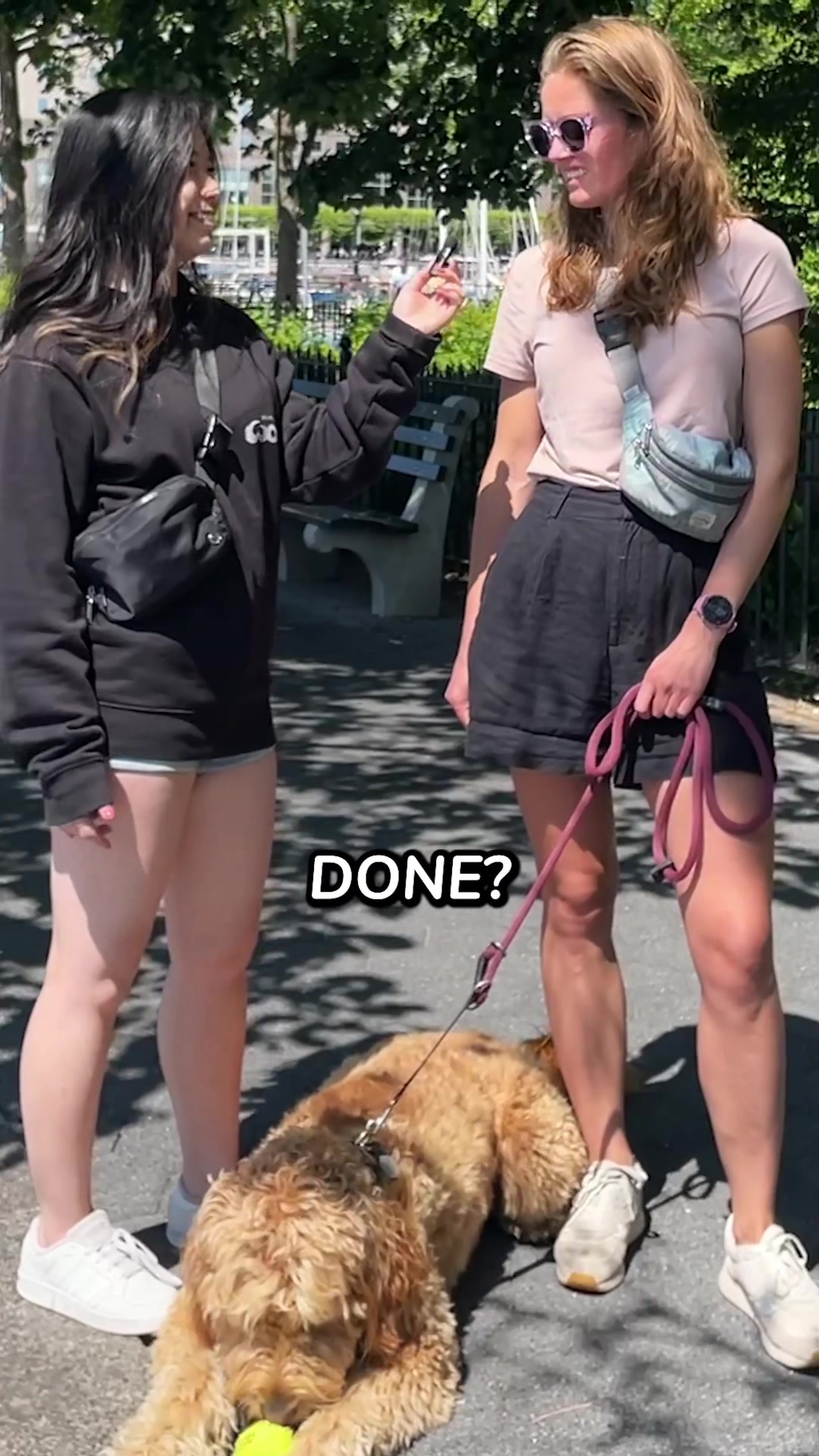 @WoofWoofTV
