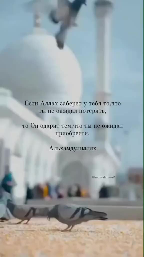 @◡̈⃝🧸❉্᭄͜͡ــہہـ٨ـہہـ٨ـﮩـ❤️