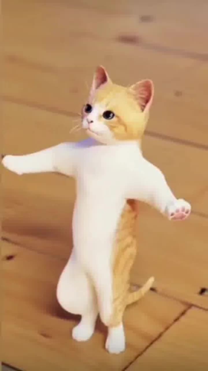 @Ronaldo 7