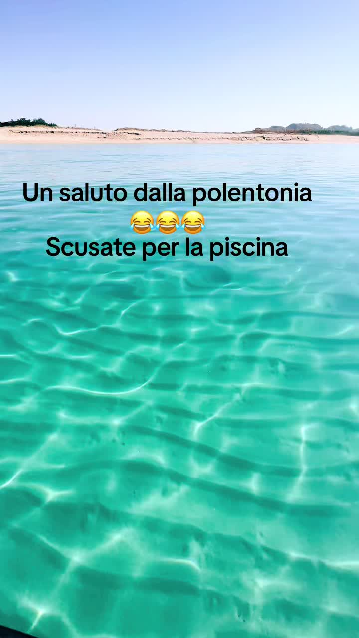 @Nunzio😎