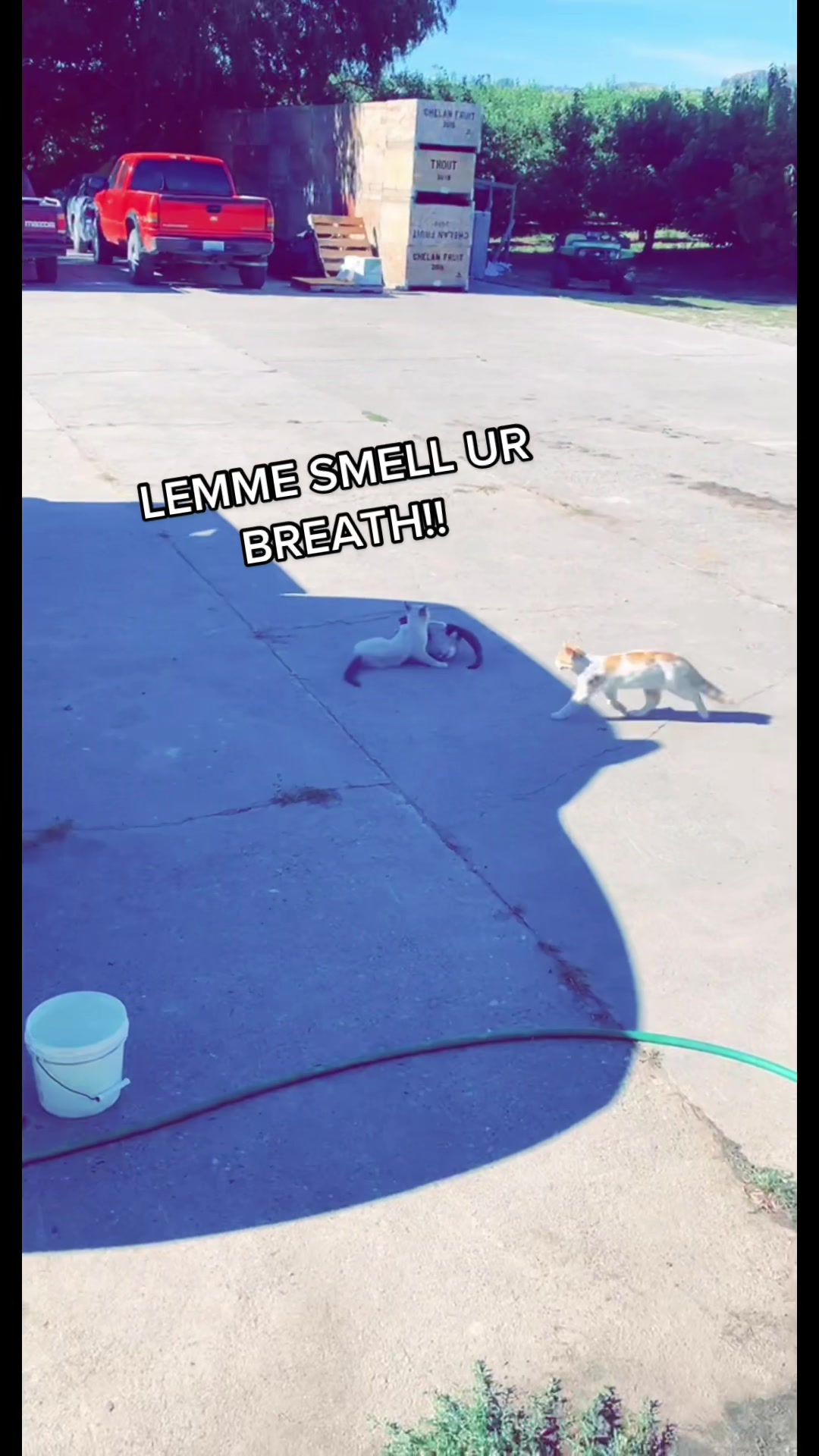 @bobby17tex