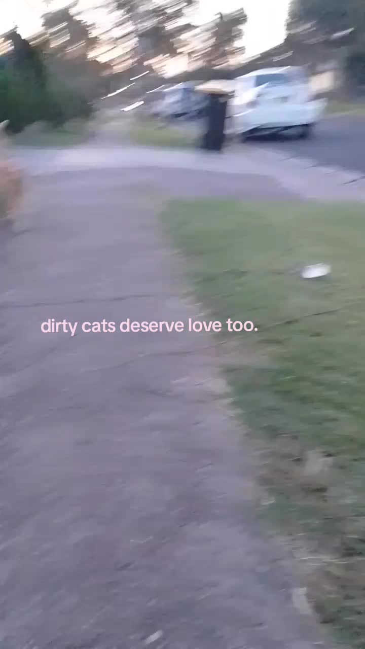 @ᖭི༏ᖫྀ