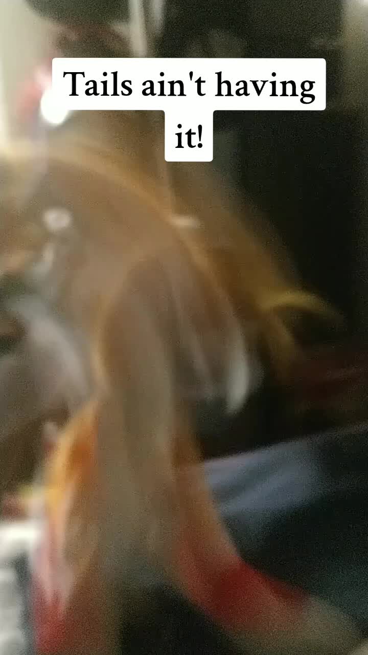 @pelhamtricky6