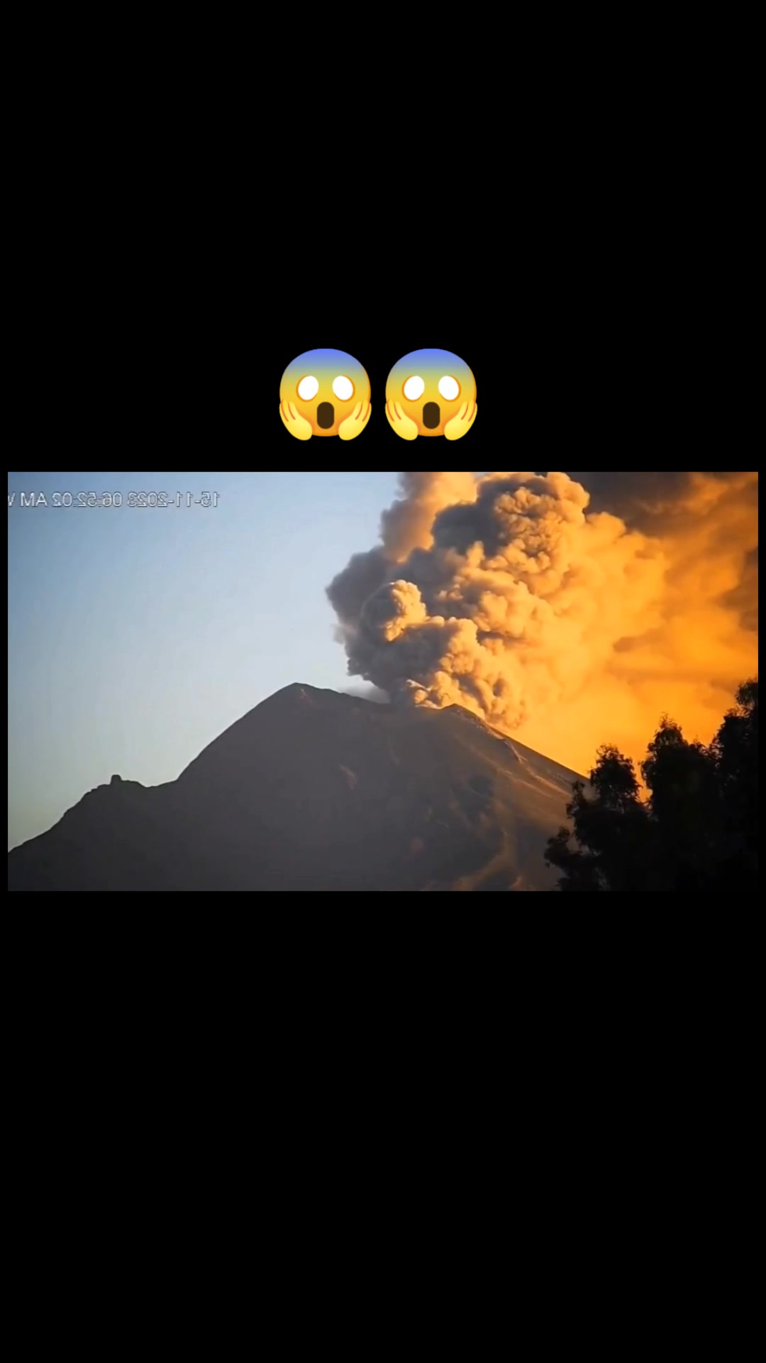 @ExclusiveClip✈️