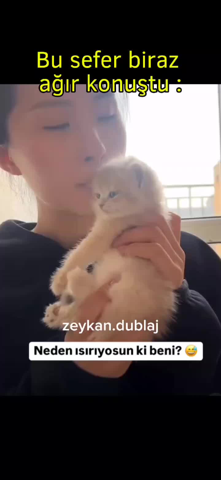 @zeykandub