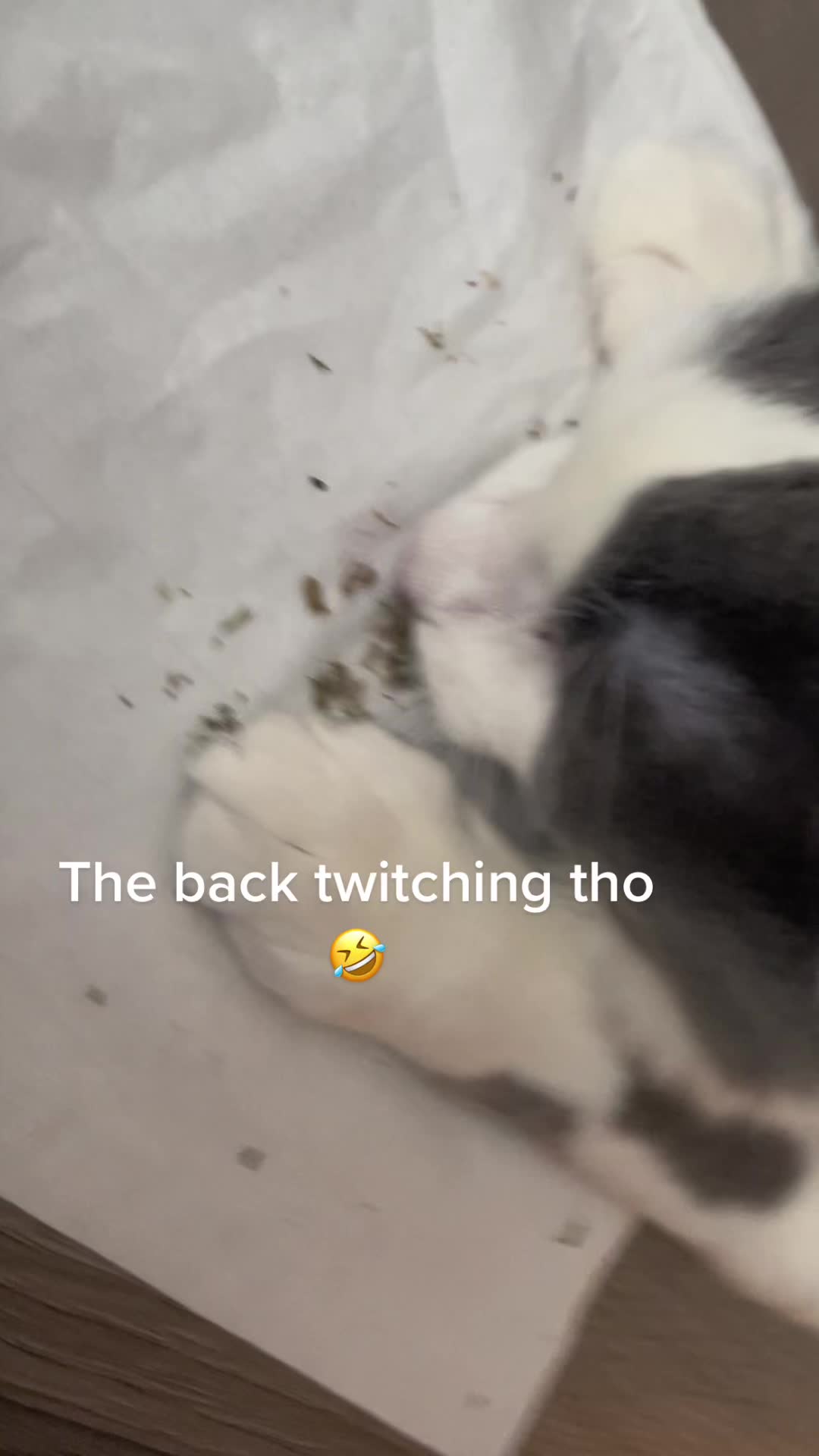 @FerociousRengar