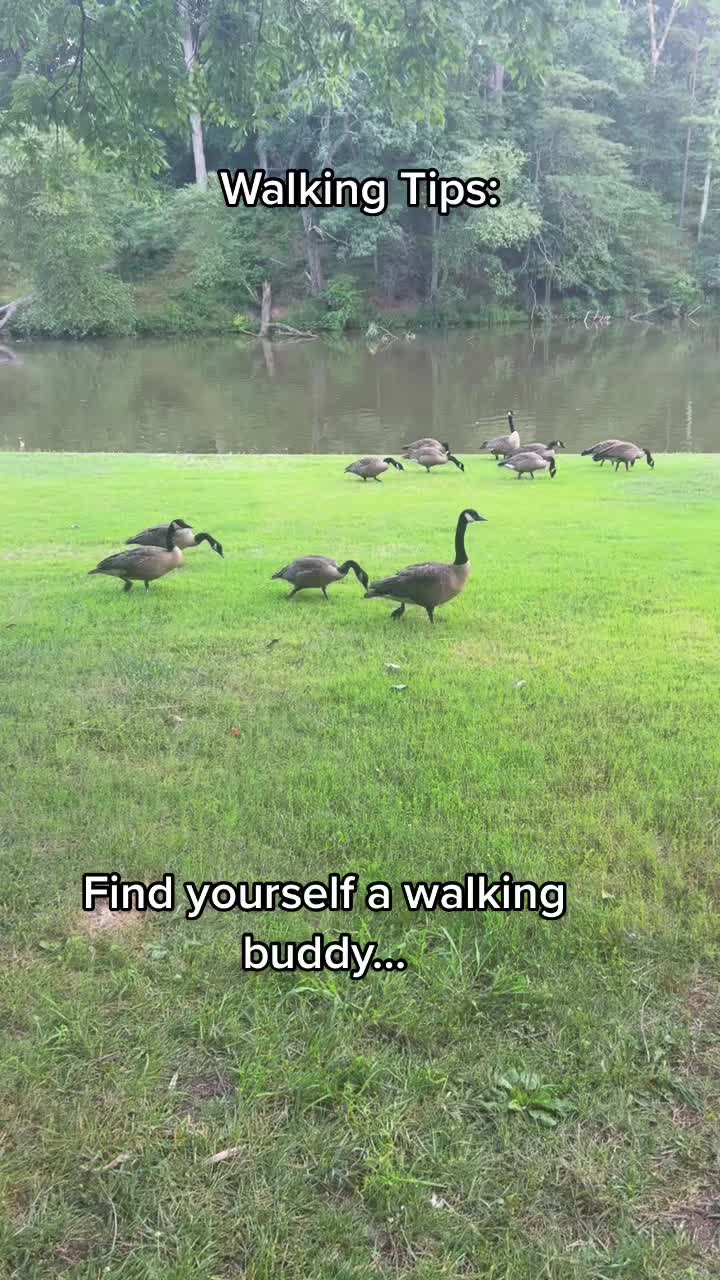 @walktimebooks