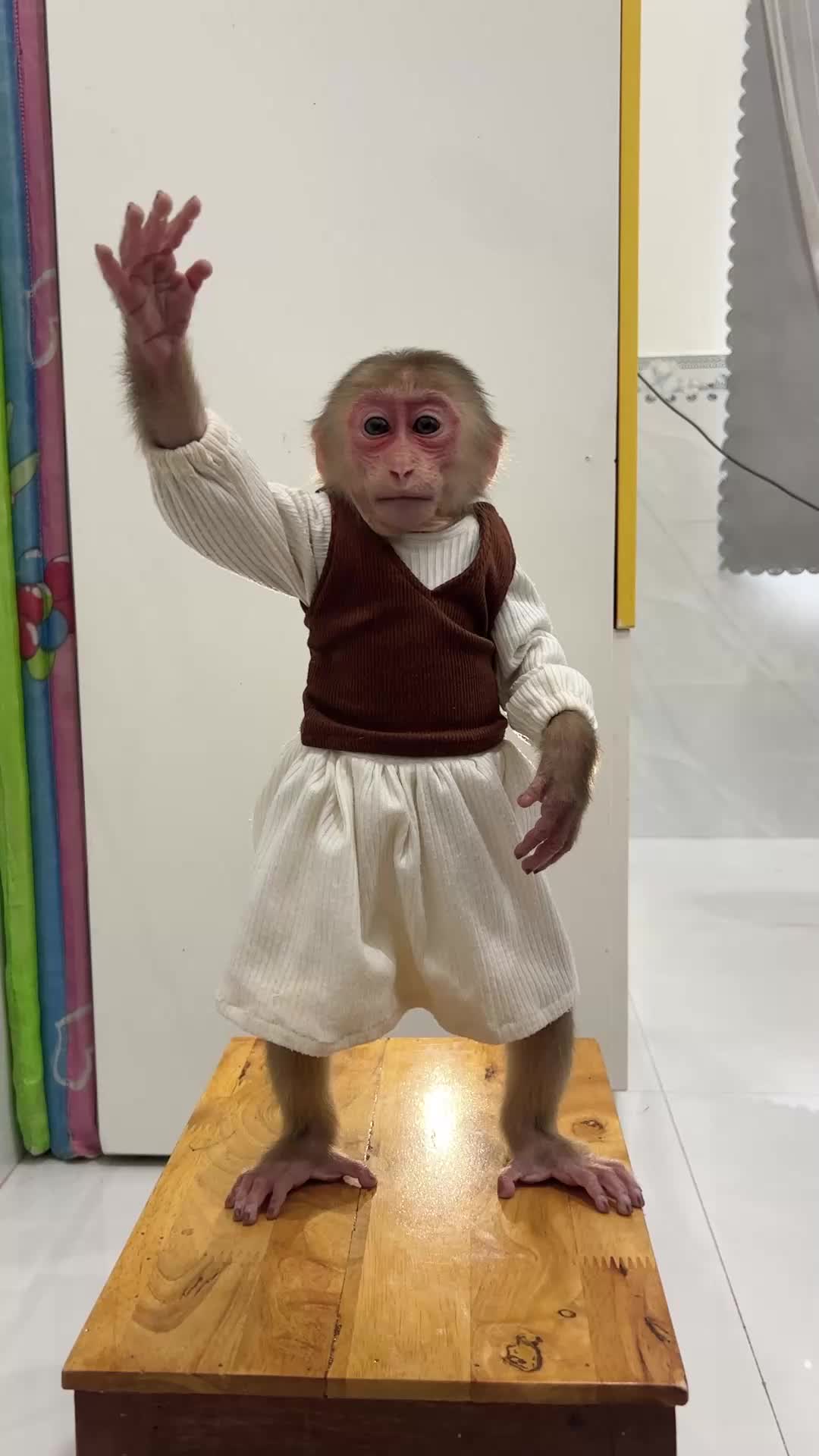 @Lilymonkey