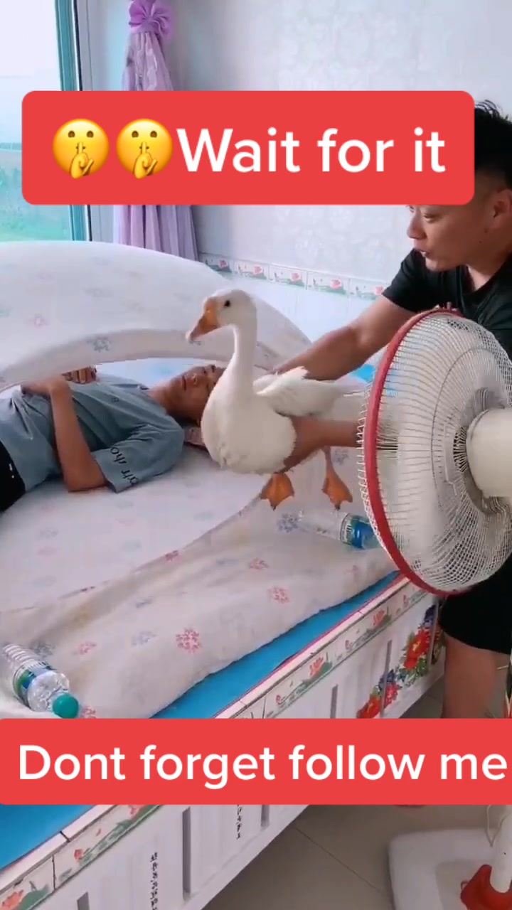 @liuyan97