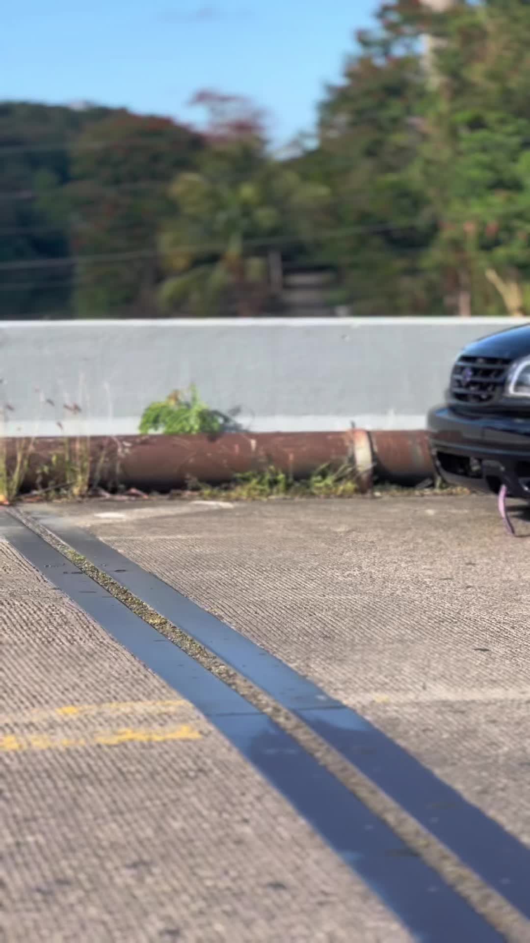 @stanced_vitara01