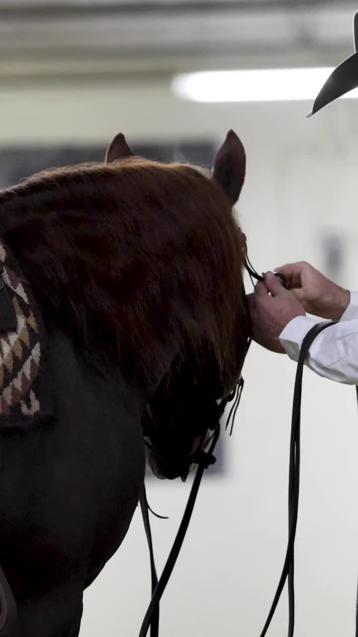 @Larson Performance Horses