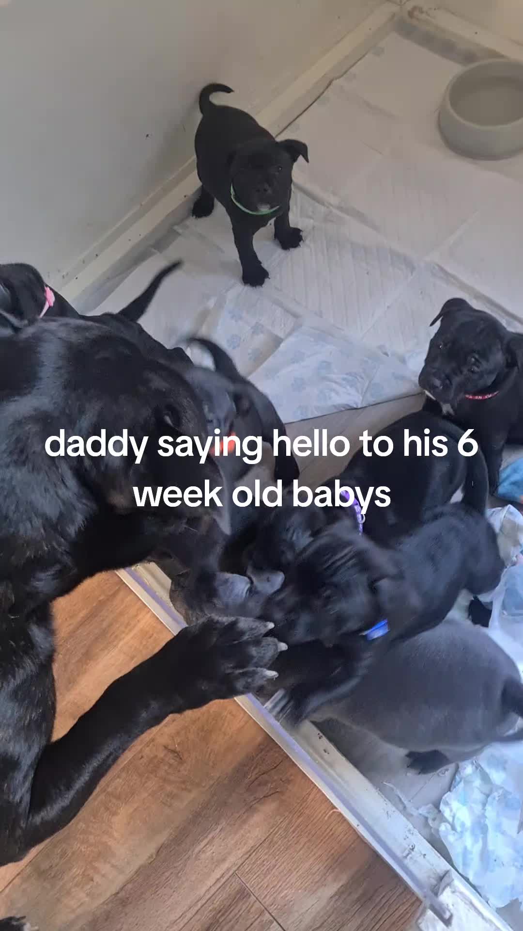 @andy420