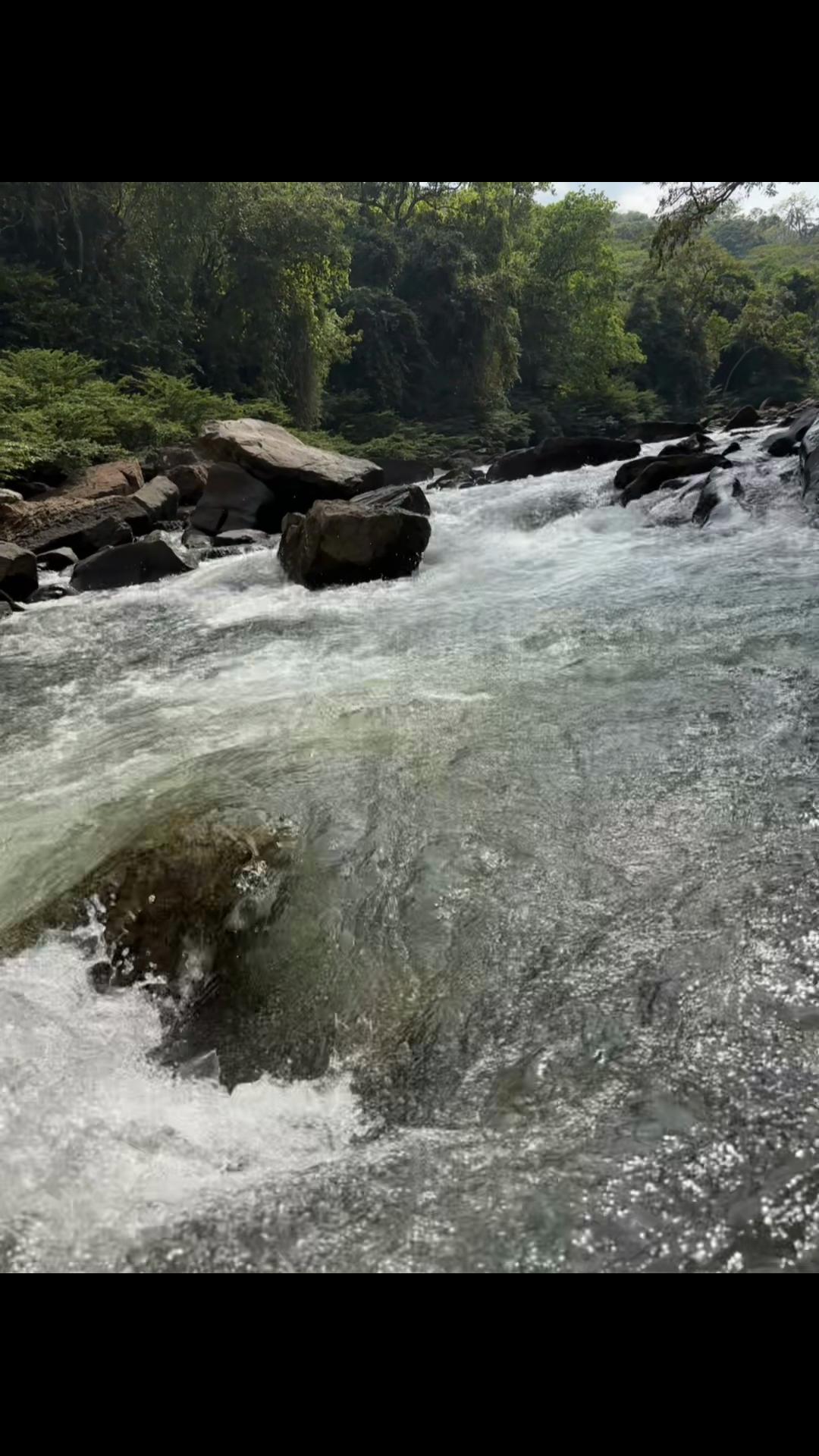 @Leodanis
