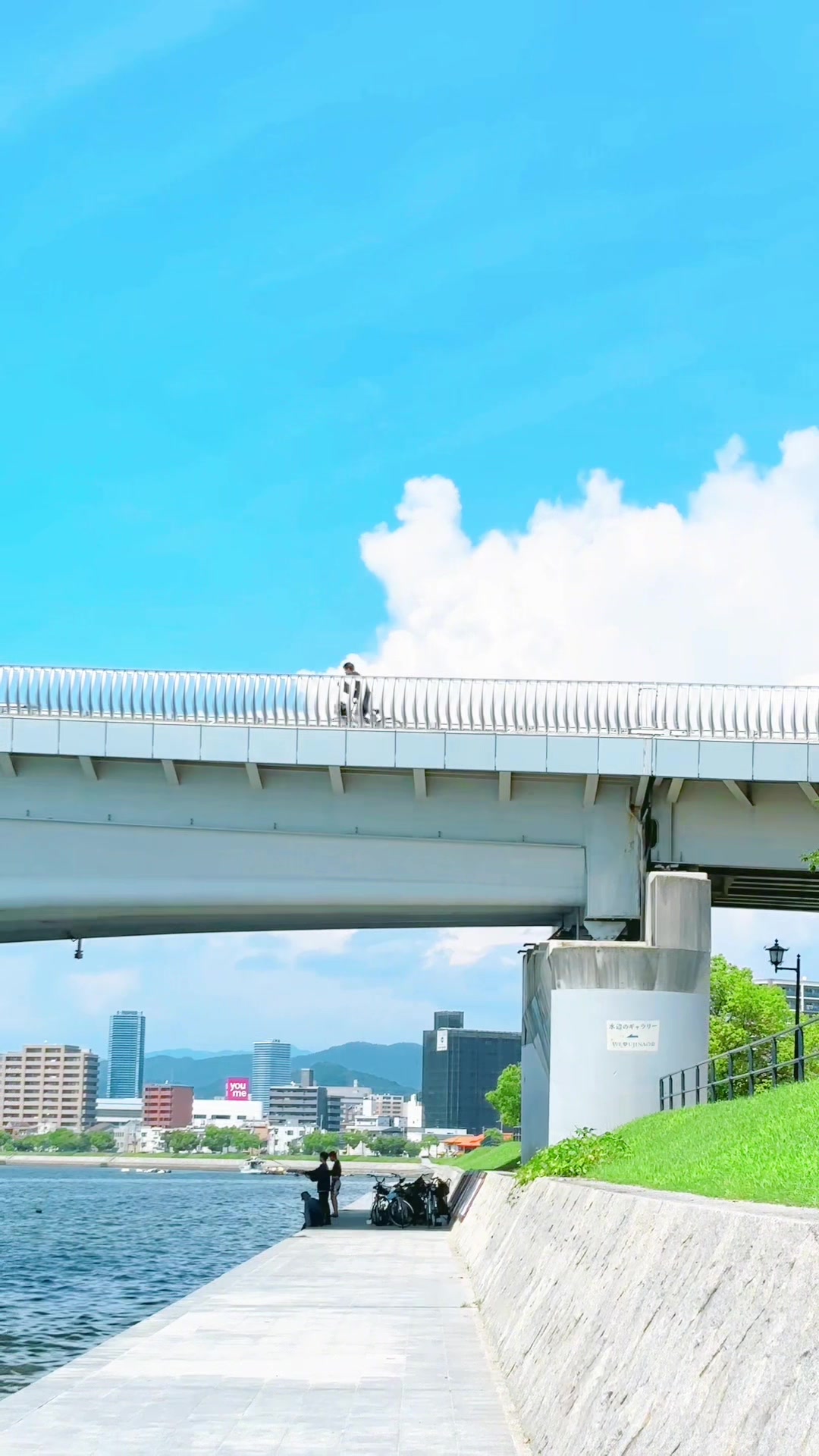 @とらのぽいち
