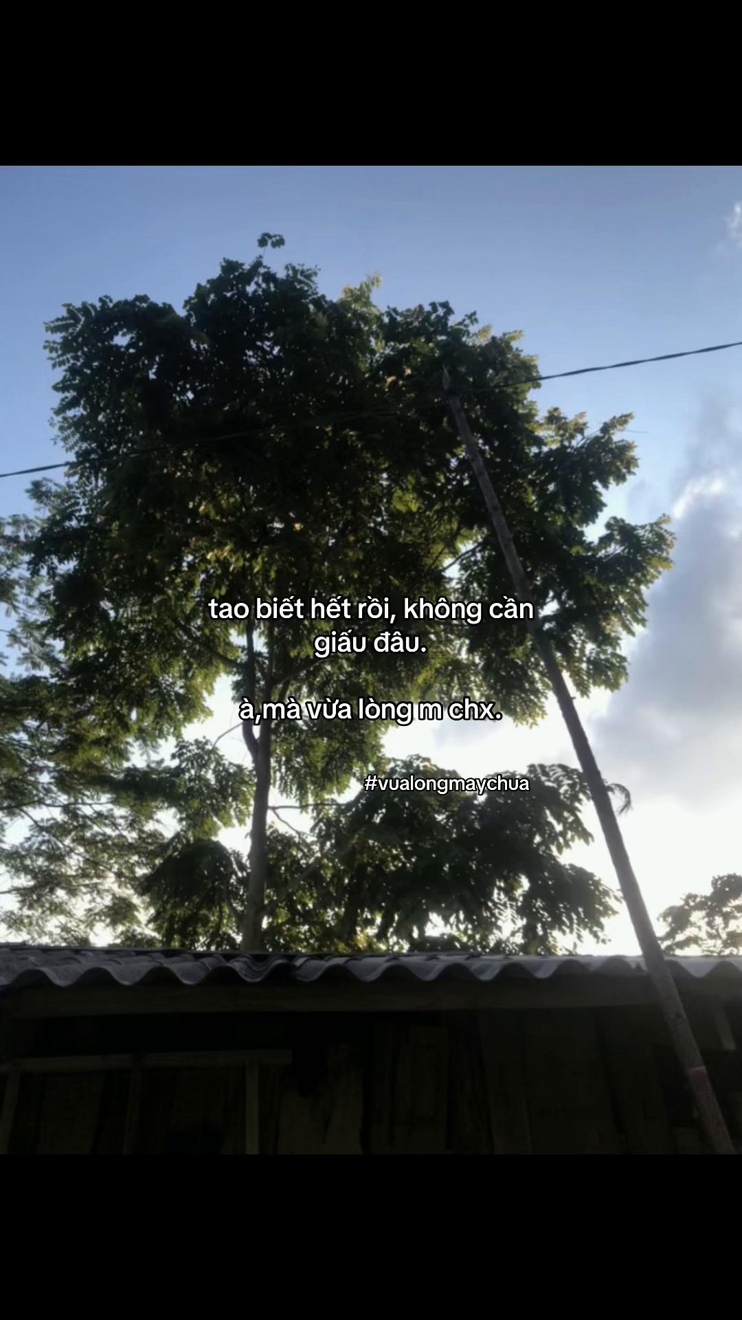 @cảm x&uacute;c