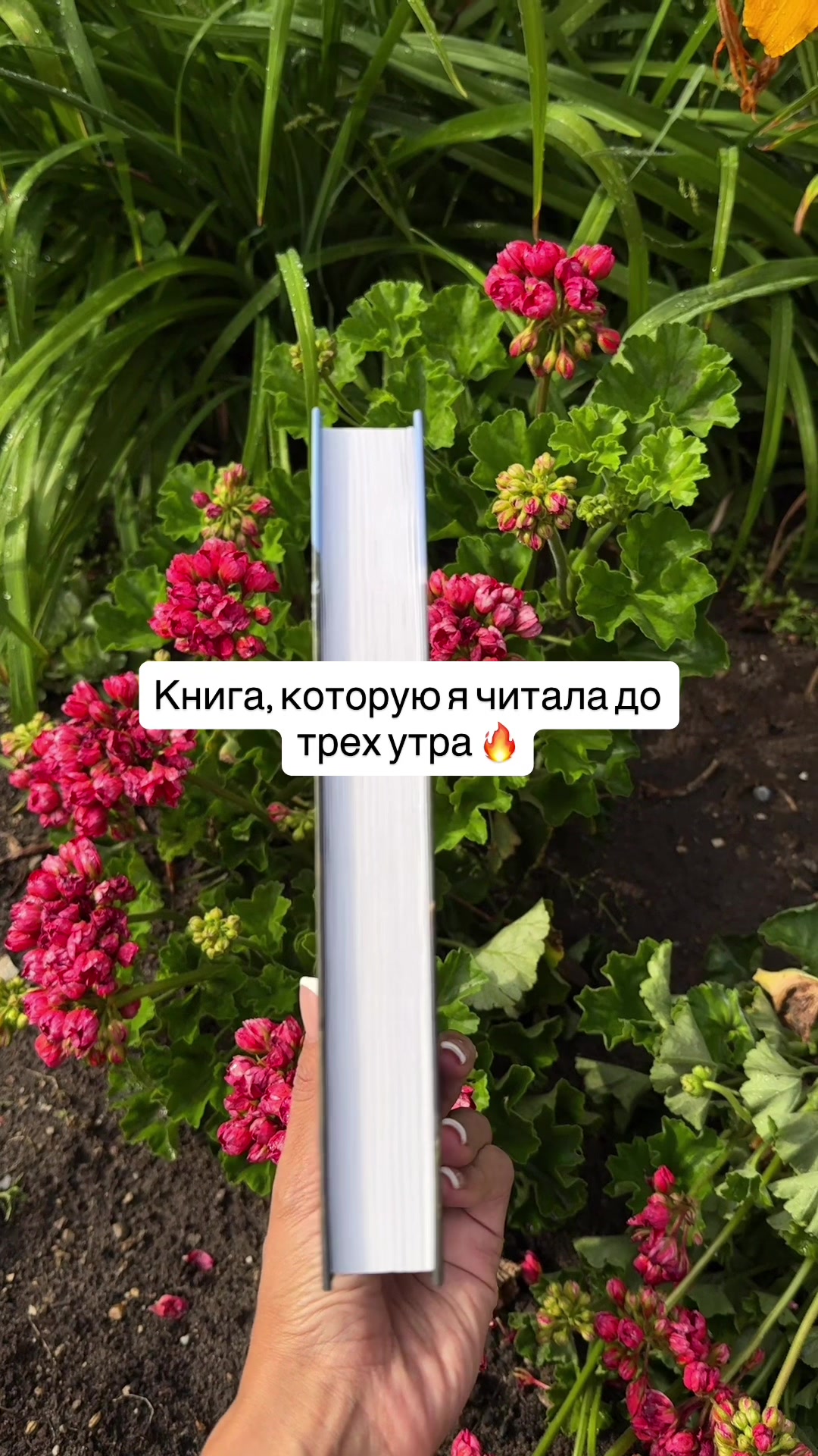 @Книги