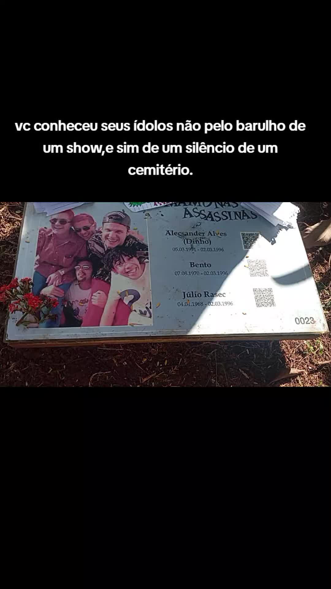 @desisti,amo vcs pitchulos(as)