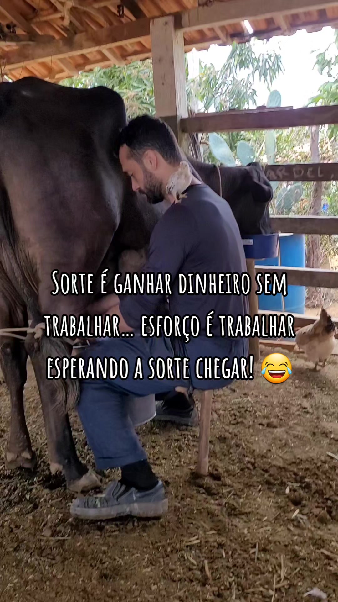 @Jardel Ferreira