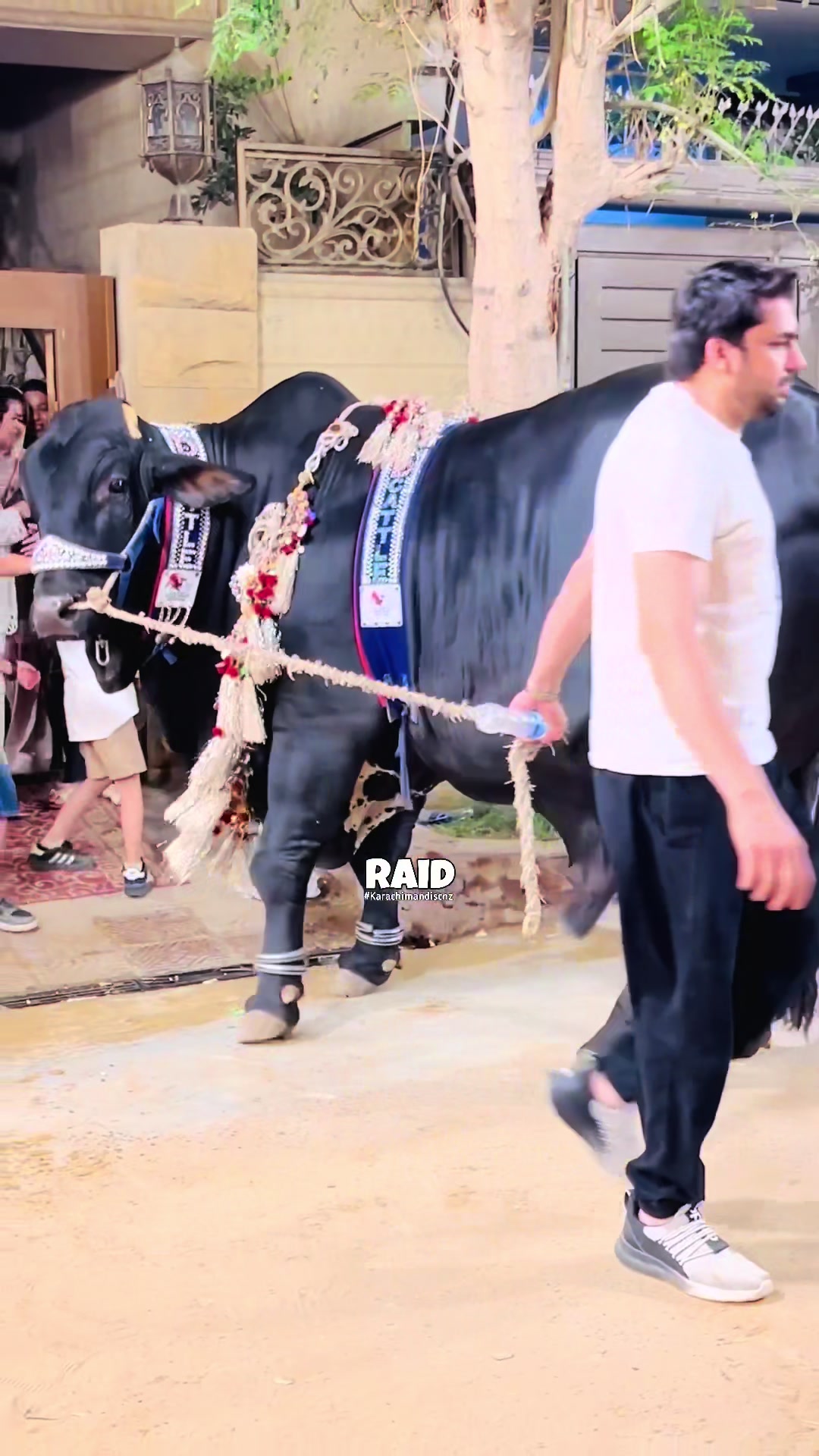 @Raid by Karachi Mandi Scnz