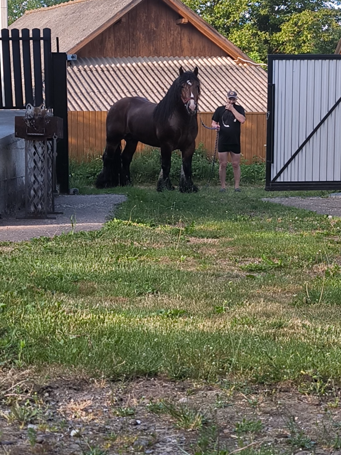 @ВАСЯ БОЙЧУК 🐎