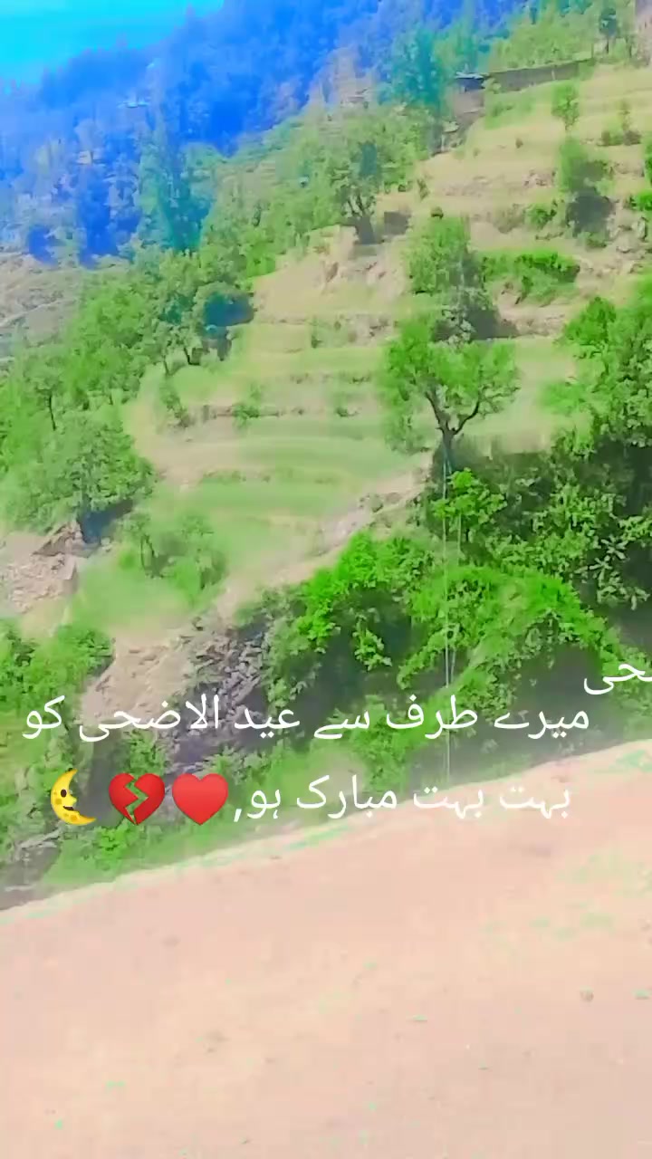 @احسان ارمانی