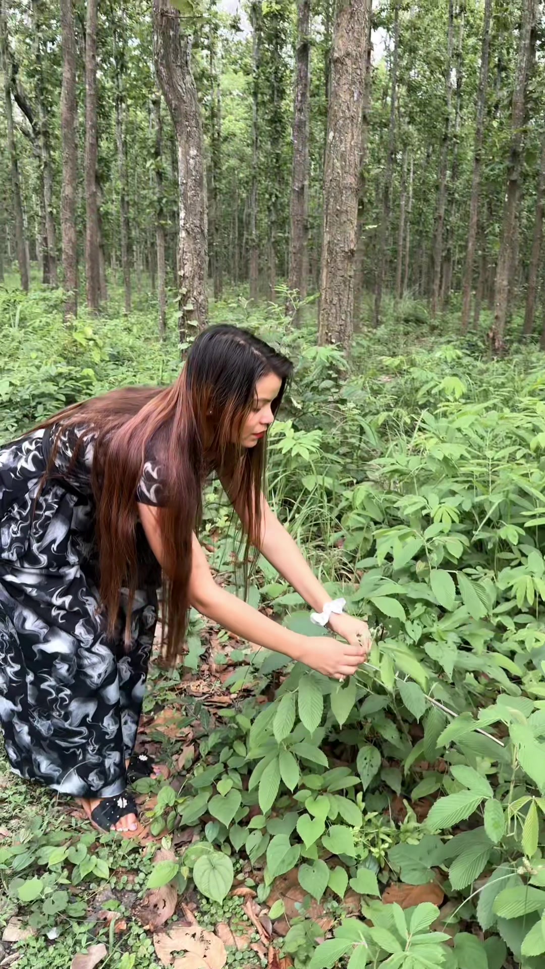 @Simran Chhetri