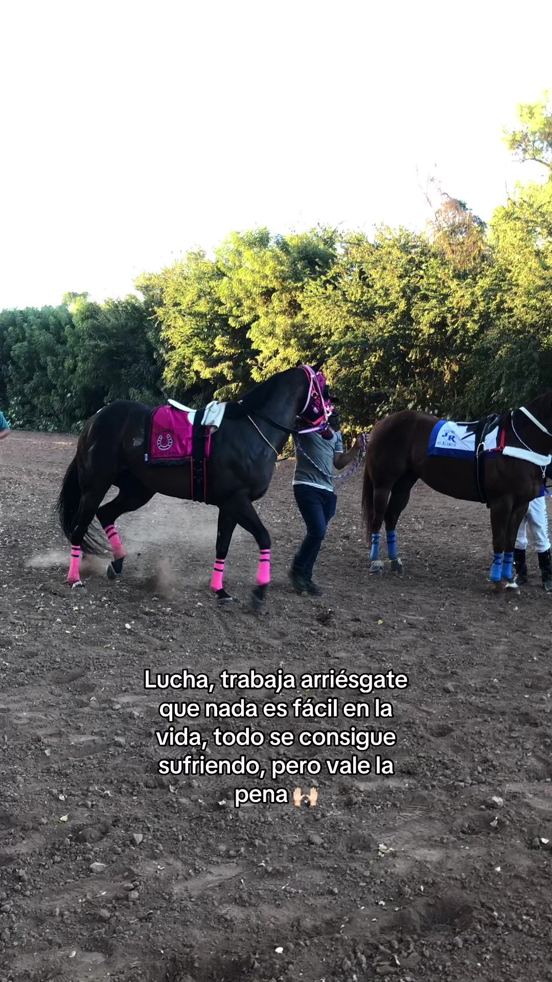 @Anye guzman🏇🏻