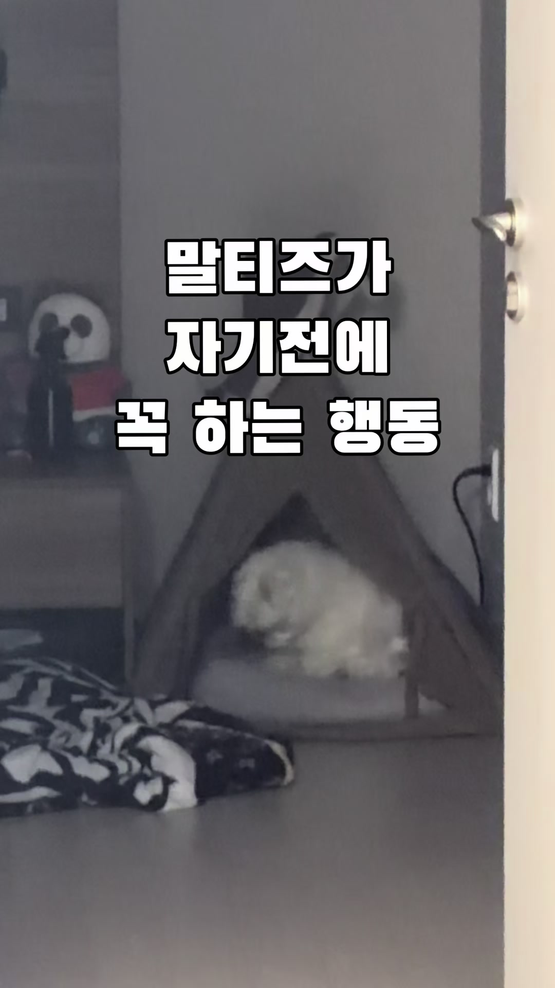 @박까까