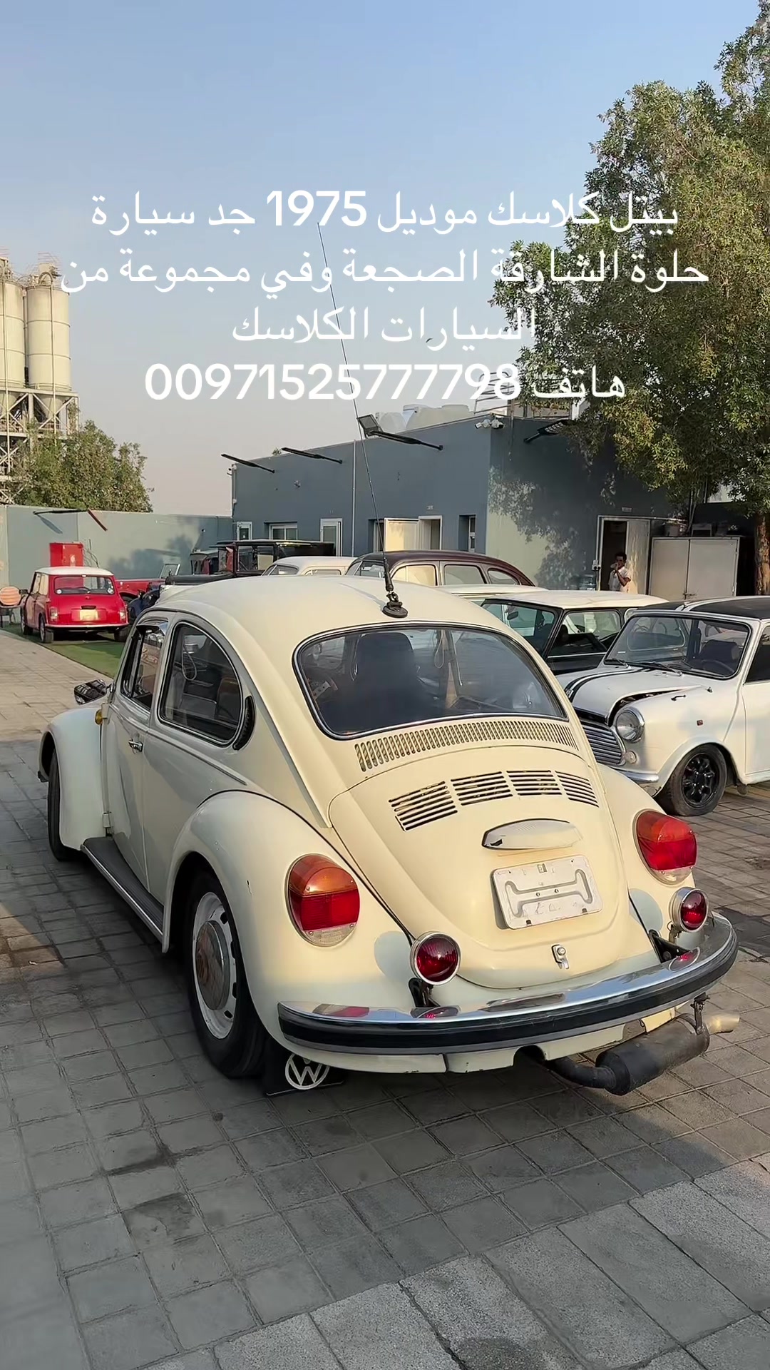 @العربة الذهبية للسيارات