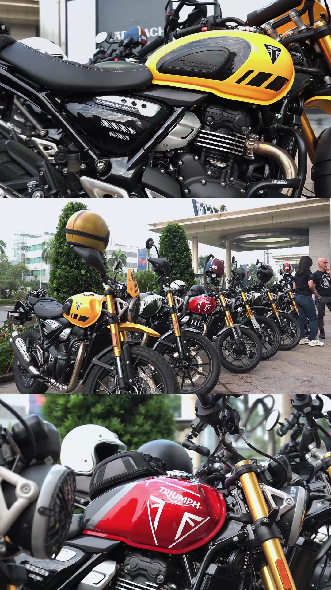 @Iqbal Triumph Indonesia