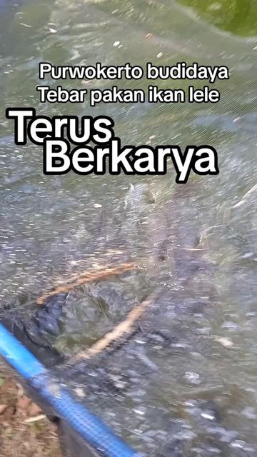 @SUYITNO TOK