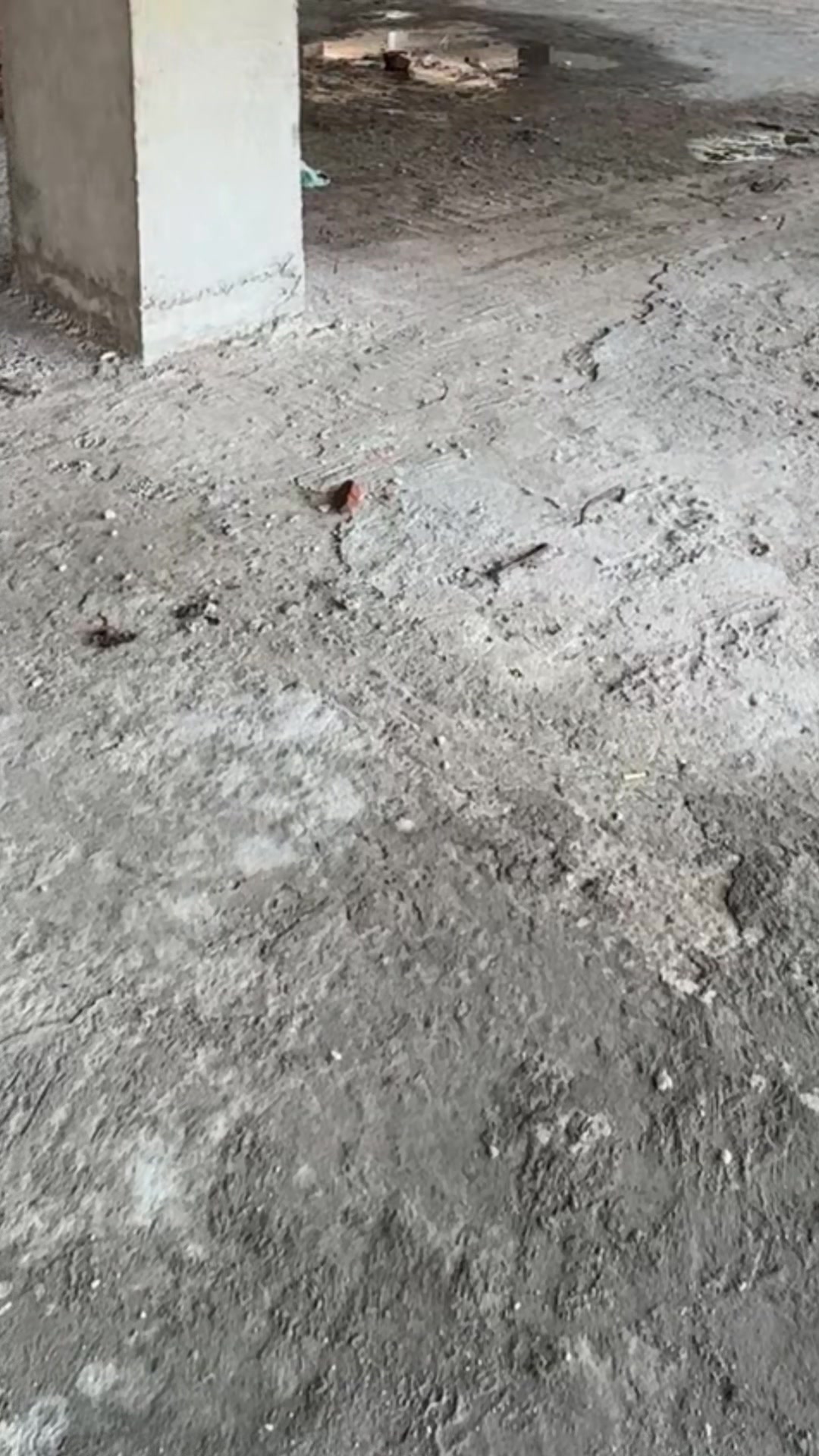 @জীবন মানেই,, টক, ঝাল, মিষ্টি