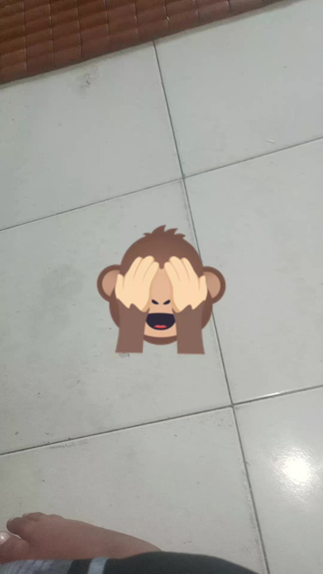 @nissaaja79