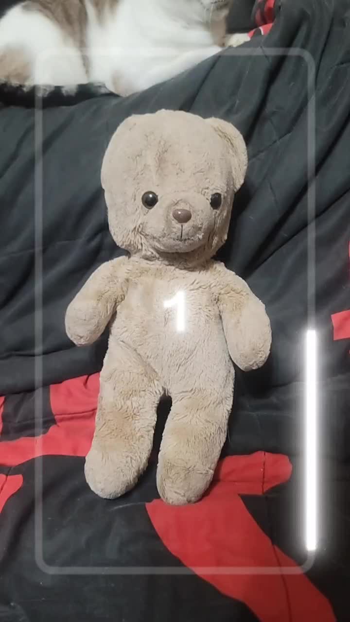 @Doll
