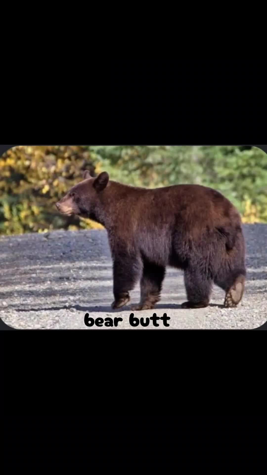 @MATT