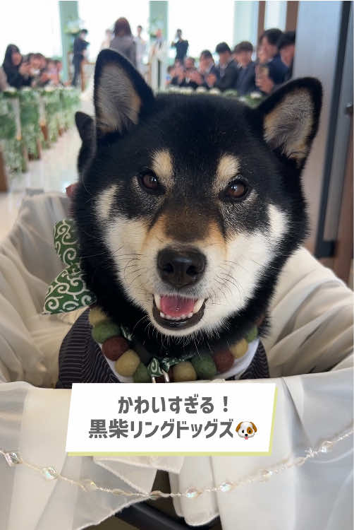 @【公式】ゼクシィ編集部