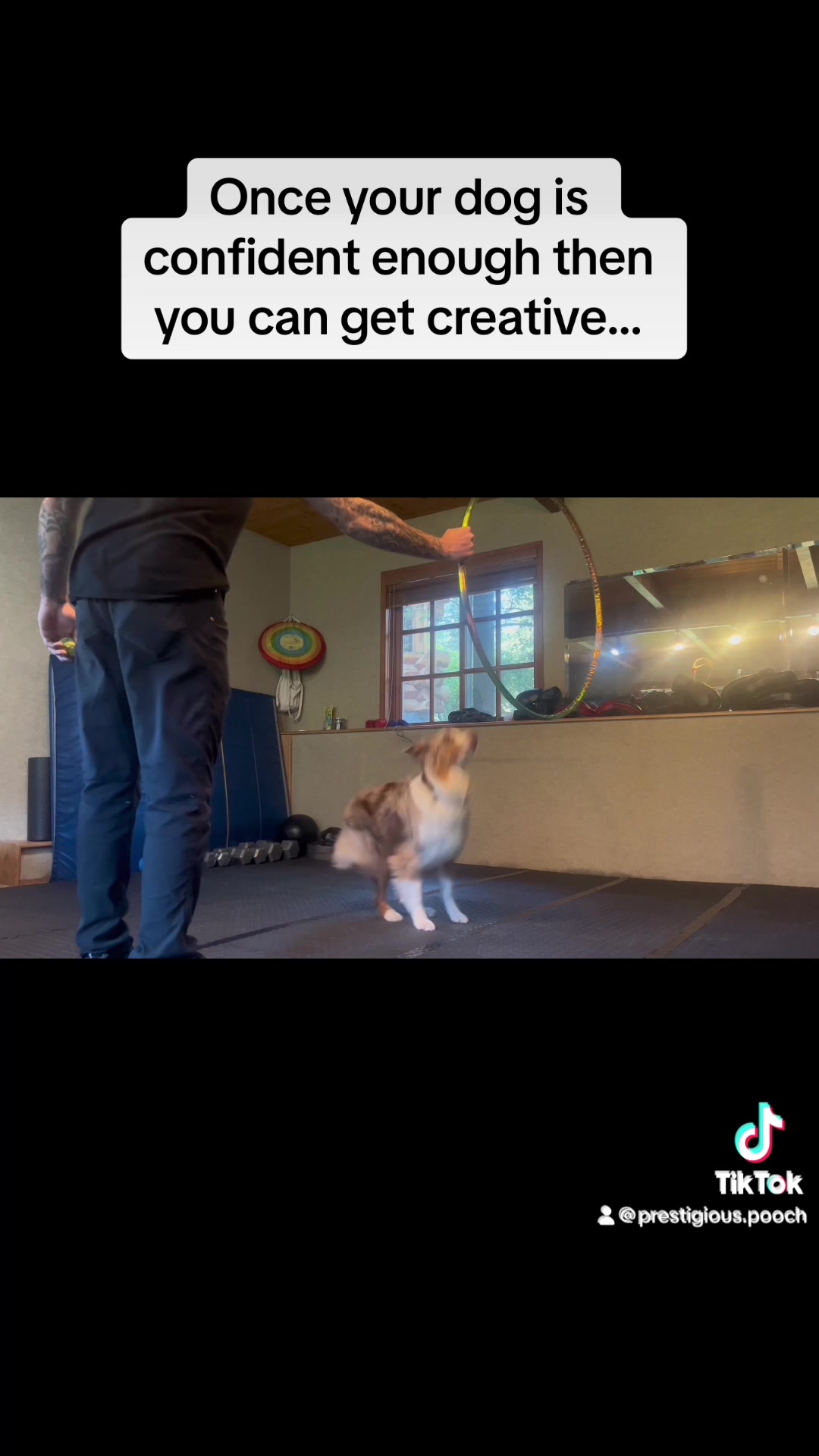 @Prestigious.Pooch