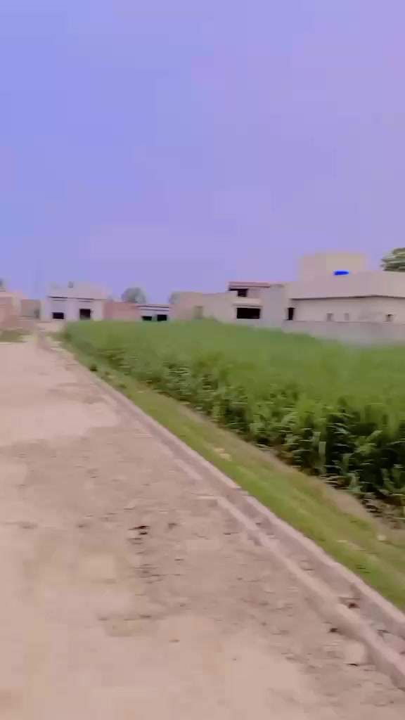 @Ali akbar Dogar