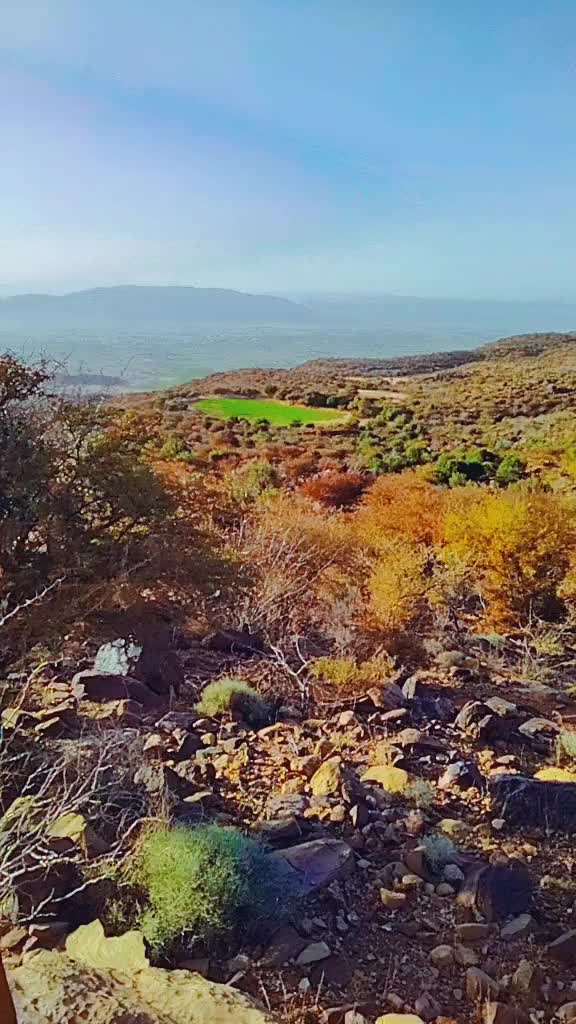 @💝عبدالوحید 🪄حاجوانی 💝